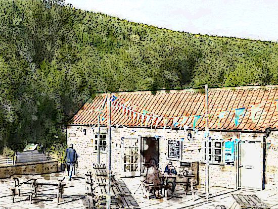 Courtyrad Cafe