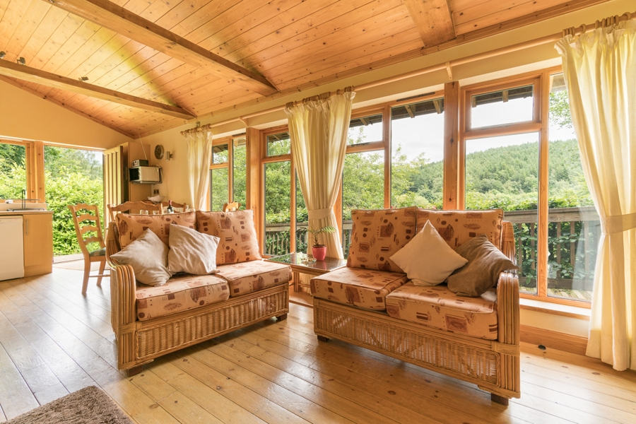 Calming and Relaxing Forest Holidays