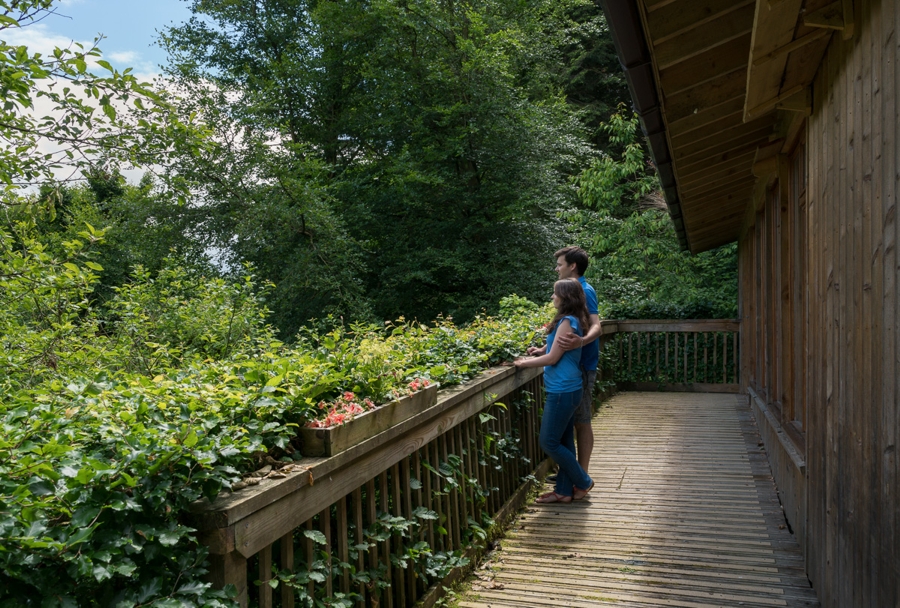 Room to Express yourself in Beech Lodge