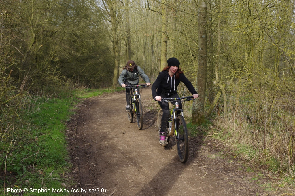 Room to Express yourself in Beech Lodge