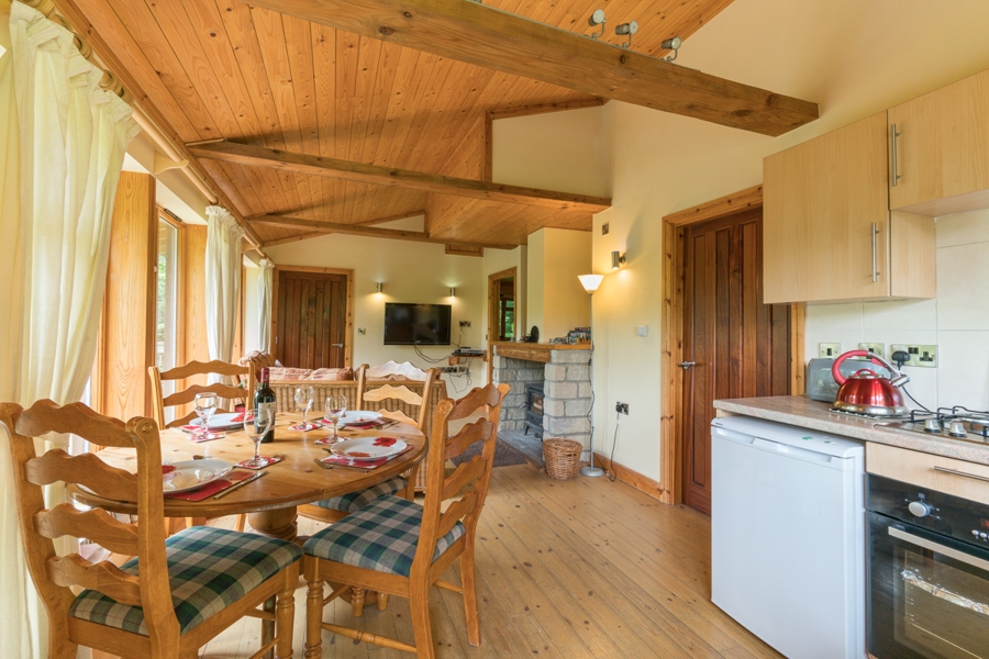 In the Heart of the Forest for Holidays