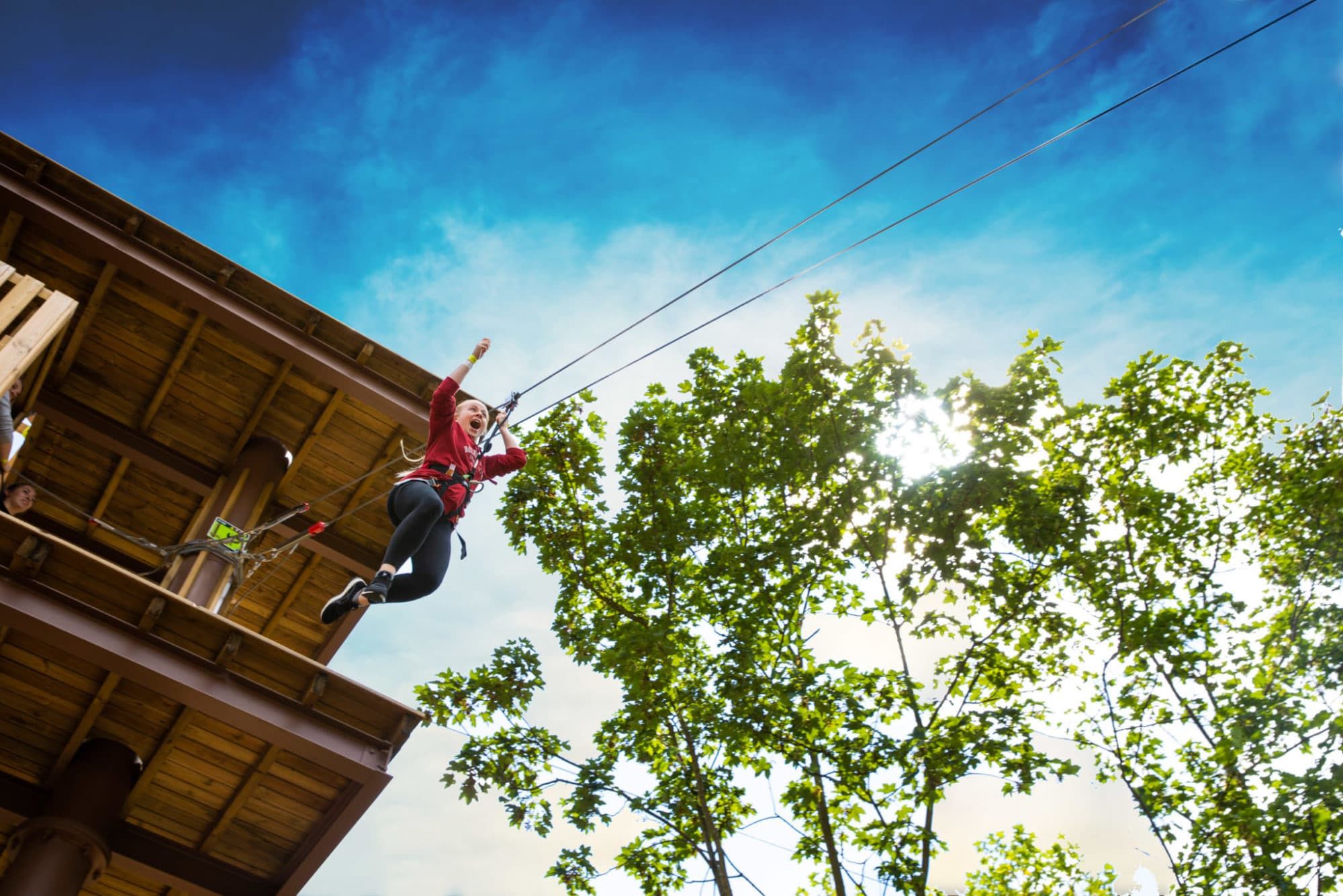 Go Ape Dalby